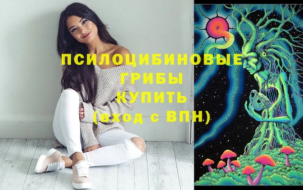 гидропоника Алзамай