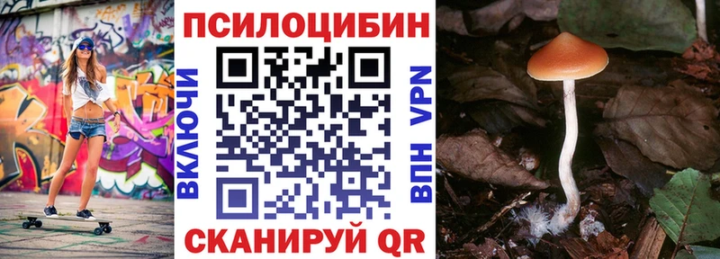 закладка  Геленджик  Галлюциногенные грибы мухоморы 